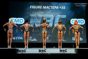 FIGURE МАСТЕРА +35